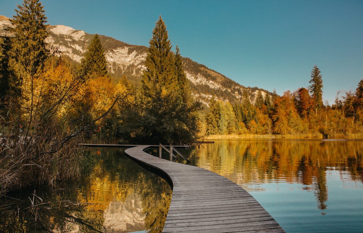 From abuse to rationalization: about the new European lifestyle